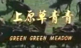 青青草原在线视频播放,青青草原在线视频播放精彩回顾